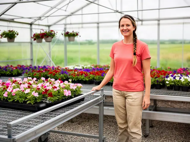A smiling grower in a coral tee at new galvanized greenhouse benches filled with flowering bedding plants.